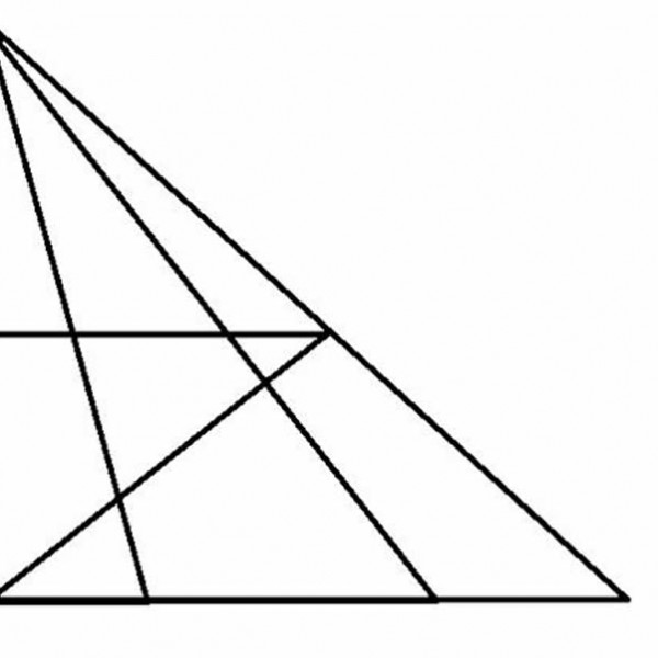 Доколку можете да најдете повеќе до 18 триаголници - имате натпросечна интелигенција