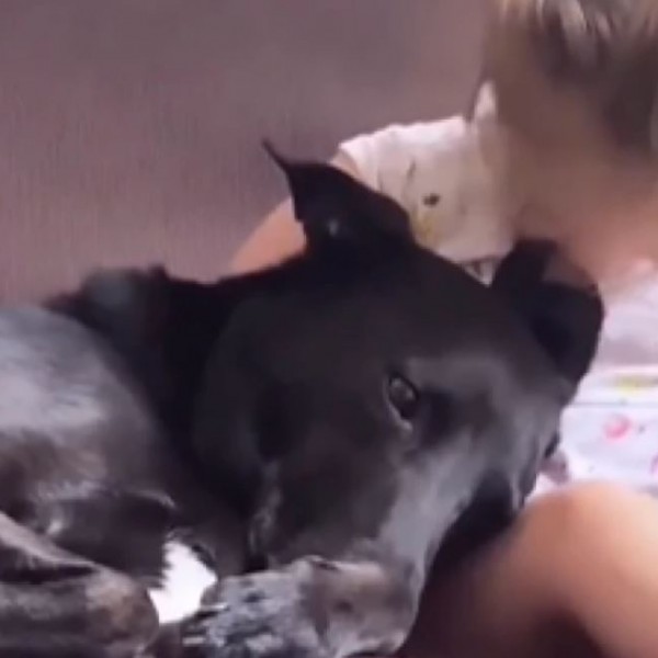 Најслаткото видео кое ќе го видите денес: Љубовта и пријателството помеѓу девојчето и кучето ќе ве разнежнат