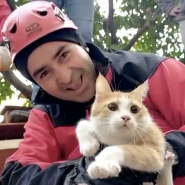 Студент на спасувачите им наредил прво да ја извлечат неговата мачка: Видео од Турција кое за кратко стана вирално