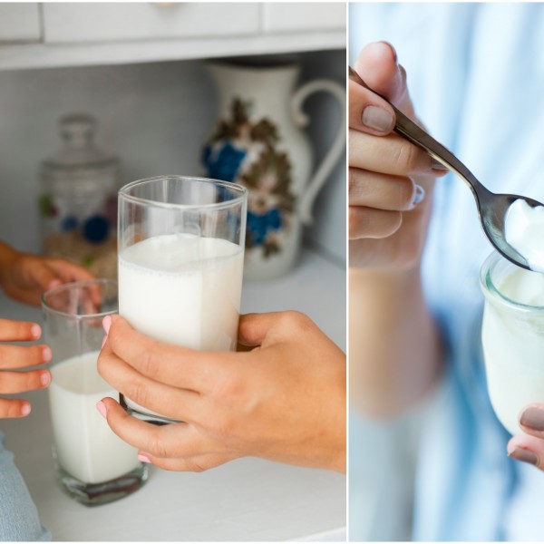 Придобивките од јогуртот и киселото млеко за здравјето на сите генерации