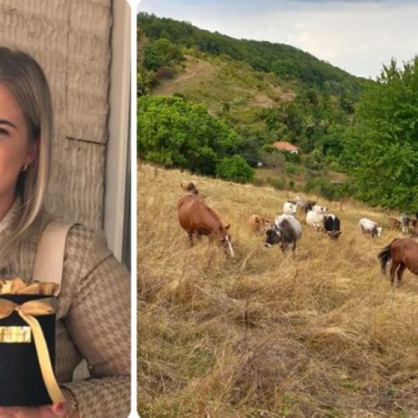 Градскиот живот го заменија со селски: Ангелина со сопругот одгледуваат крави и работат земјоделие