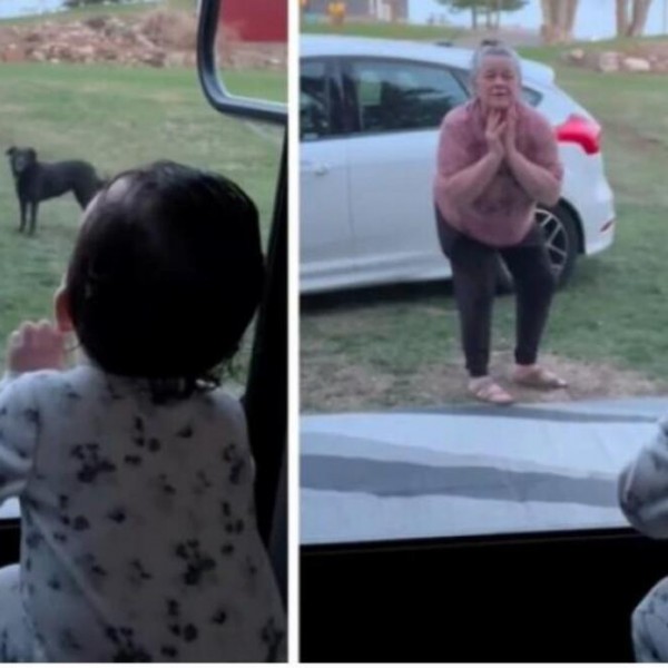 Посебениот однос меѓу баба и внука ќе ве разнежни: Видеото го снимила мајката на девојчето, а еве зошто ќе ви измами насмевка на лицето