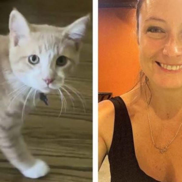 Тие не насетувале што се случува: Мачка спасила семејство од опасност
